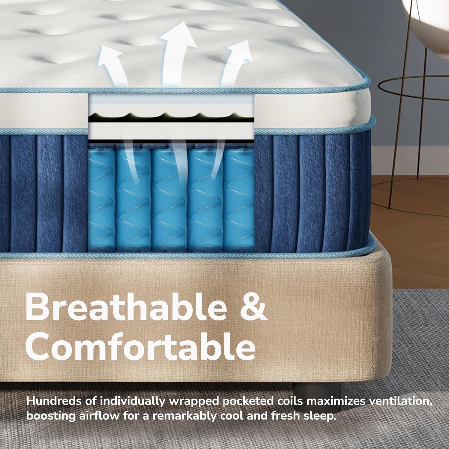 12-Zoll-Hybrid-Matratze in ein – Memory Foam Mattress In A Box Queen Bewertung und Preis